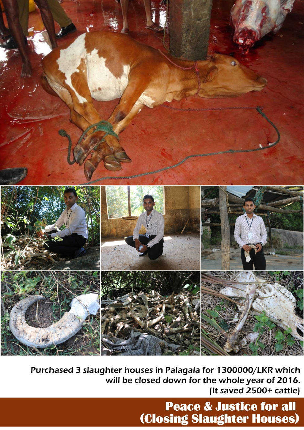 samajasathkara.lk 354